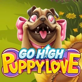 Go High Puppy Love logo by RubyPlay at VooDoo Casino