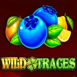 Wild Traces logo – Slots by Amusnet Interactive at VooDoo Casino